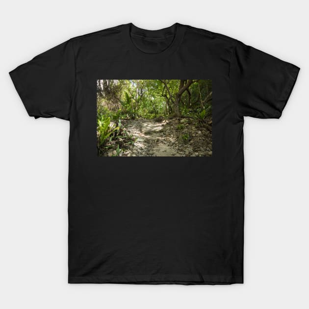 Niue walking track. T-Shirt by sma1050